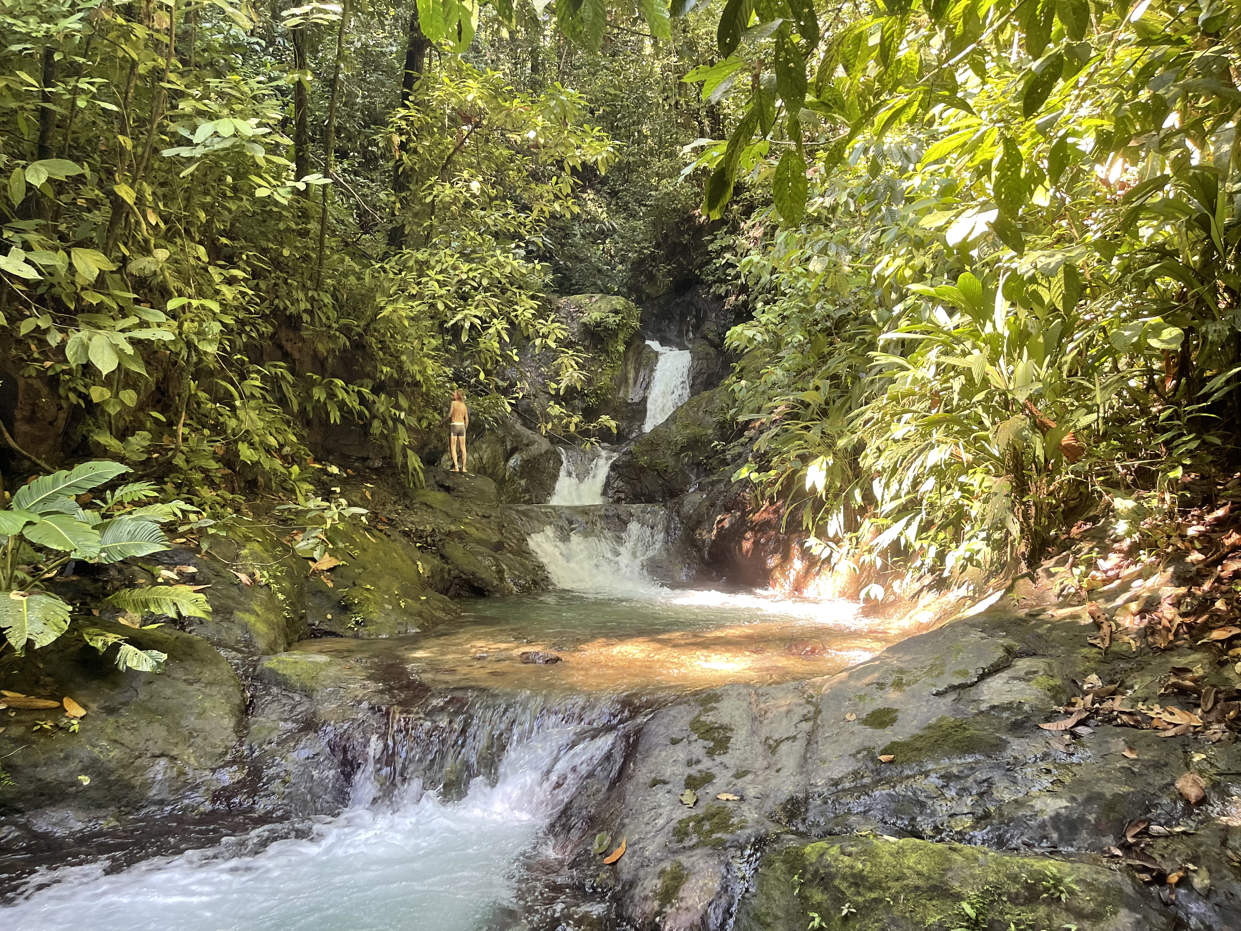Cascada Bejuquillal en la selva